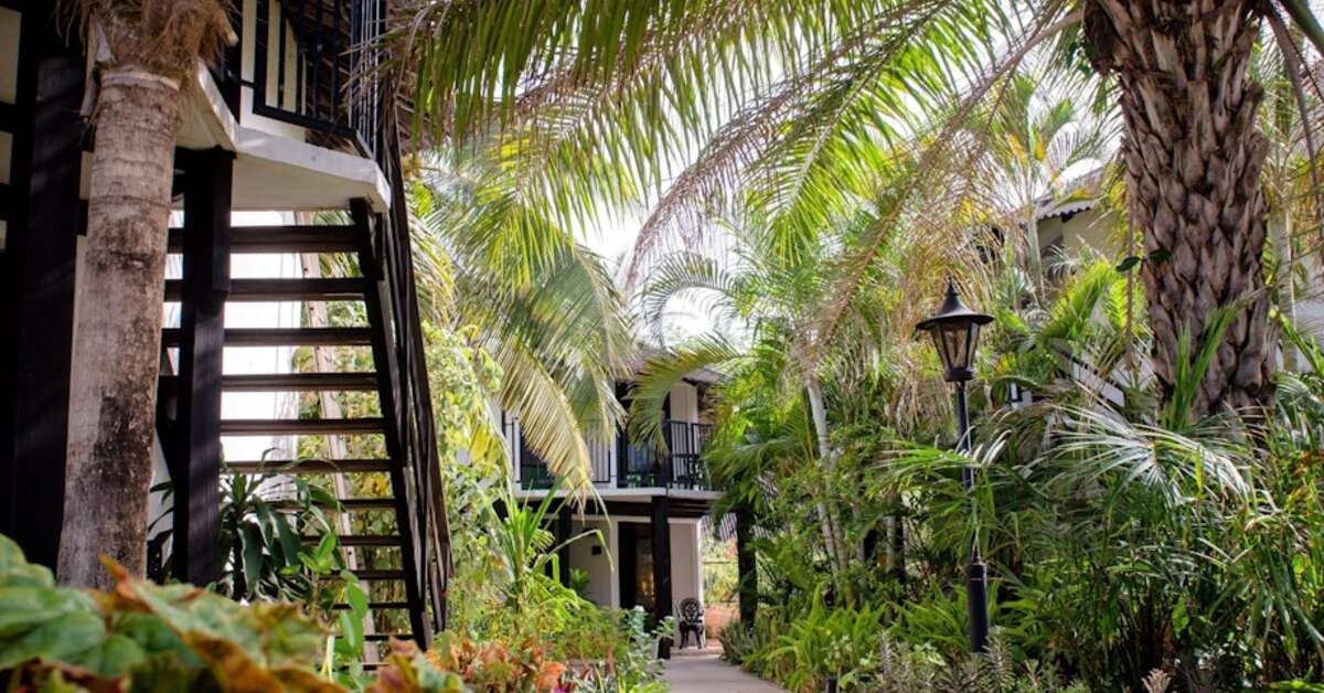 Grasveld bij het Bakotu Hotel Kotu, Gambia foto 1