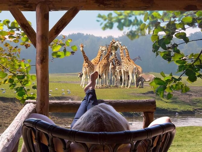 Mini-vakantie naar Safari Resort Beekse Bergen