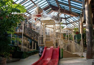 Center Parcs Les Bois-Francs | Reviews!